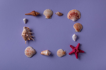 Frame made of sea star and seashells
