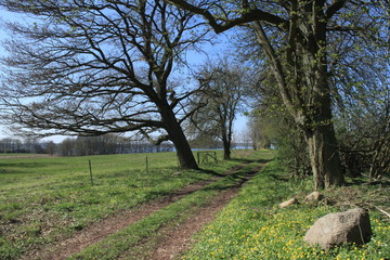 Frühling in Mecklenburg / Feldweg am Krakower See