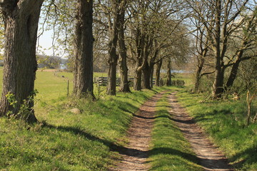 Feldweg in Mecklenburg