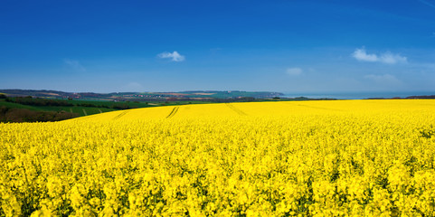 Obraz premium côte d'opale au printemps