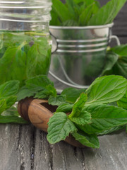 fresh mint leaves