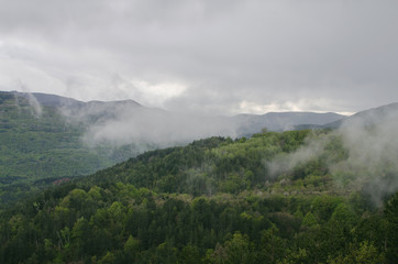 Low Rain Clouds Above Mountain With Pine Tree Forest 