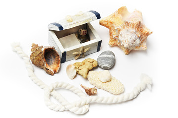 Obraz na płótnie Canvas Chest and seashells