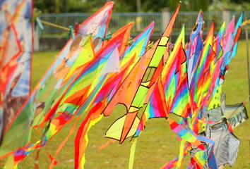 Malaysian kites