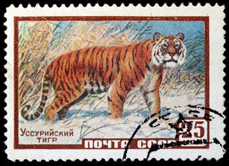 Amur Tiger Stamp