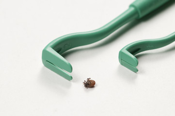 Mite and extractor tool