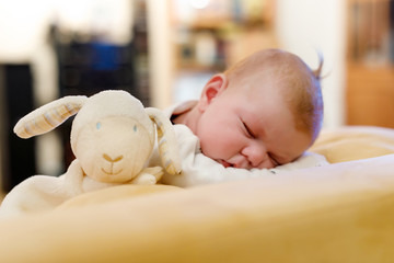 Portrait of cute adorable newborn baby child sleeping © Irina Schmidt