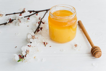 Bank of honey, spoon and blossom branch on a white wooden background.