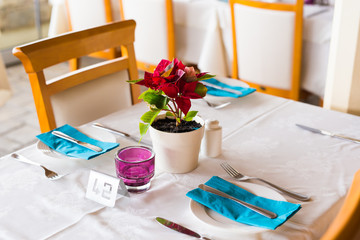 flowers pots decoration on the table