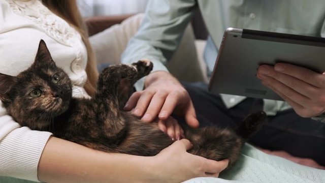 Couple is sitting on the couch sofa at home stroking a cat, and Look into the tablet and smile, close-up