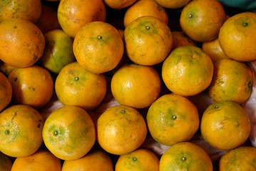 ORANGE
Oranges laid down on a tray.