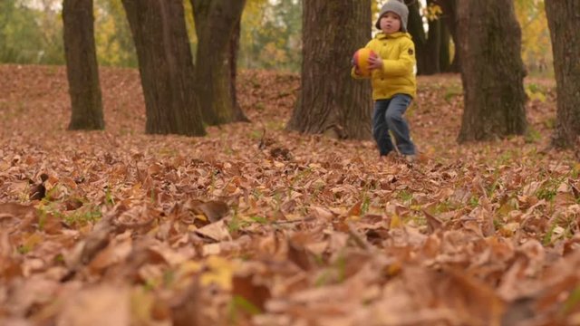 Happy playful three years old boy playing with ball in autumn park.