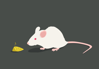 Lab white rat vector illustration