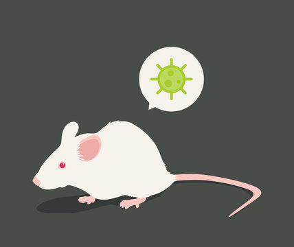 Lab white rat vector illustration: Virus