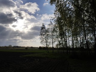 Pochmurno © michalsen