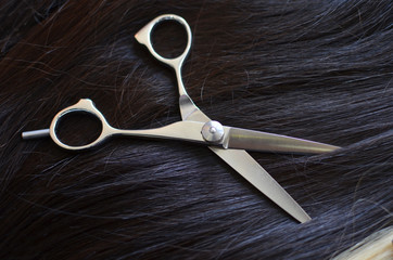 Beautiful healthy dark shiny hair texture with scissors