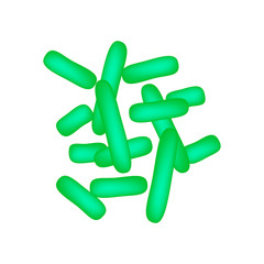 Bifidobacterium. Infographics. Vector illustration on isolated background.