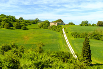 Countryside landscape around Monteriggioni in Tuscany Italy