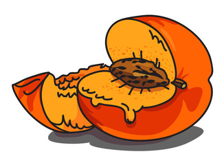 Cartoon image of juicy peach. An artistic freehand picture.
