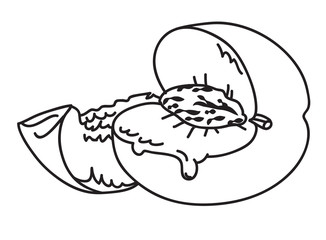 Cartoon image of juicy peach. An artistic freehand picture.