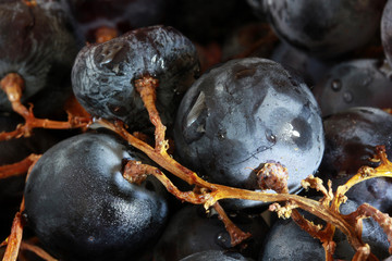 Bunch of red grapes background