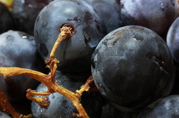 Bunch of red grapes background