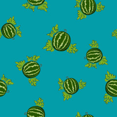 Seamless Pattern of Watermelon , Fruit Berry on Azure Background, Vector Illustration