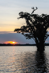 Fototapeta na wymiar Die Große Lagune des Cuyabeno