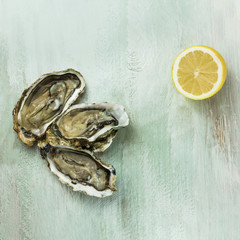 Freshly shucked oysters with lemon and copyspace