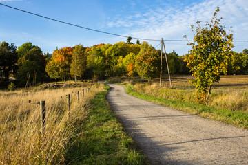 Countryside and gravel road in autumn