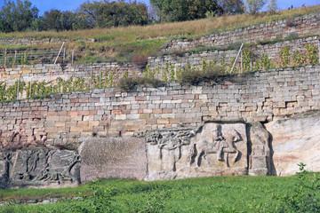 Weinberg und Steinernes Festbuch am Blütengrund in Großjena