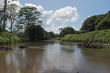 Fototapeta premium The Tortuguero River in the north east of Costa Rica