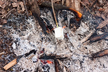 Sweet and hot marshmallows on a stick are fried over the bonfire