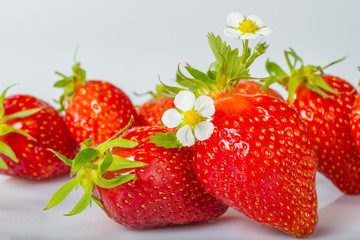fraises