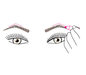 Woman drawing the eyebrows shape. Vector illustration