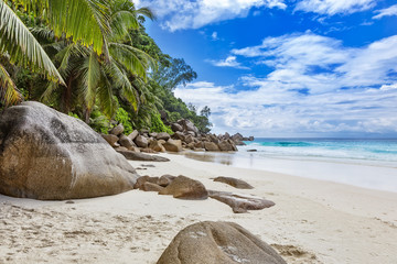 Fototapeta premium Natural tropical beach