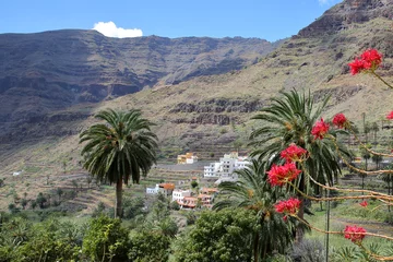 Raamstickers VALLE GRAN REY, LA GOMERA, SPAIN: Mountainous and green landscape with terraced fields and palm trees © Christophe Cappelli