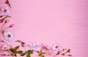 Flower frame on pink wooden background. Springtime blooming. Spring flowers. Top view with copy space. Flat lay