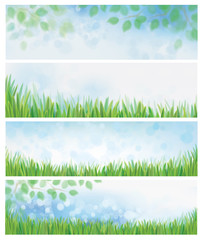 Vector green leaves  and green grass  nature background.