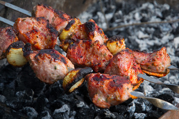 Cooking meat on the fire