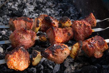 Cooking meat on the fire