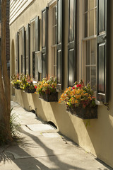 Fototapeta premium Row of windows with window boxes full of flowers on old city house in Charleston, SC, USA