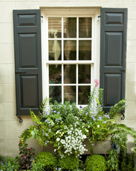 Window with shutters and window box full of flowers
