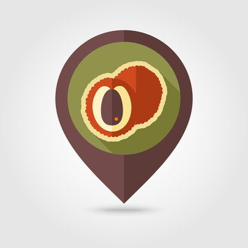 Lychee flat pin map icon. Tropical fruit