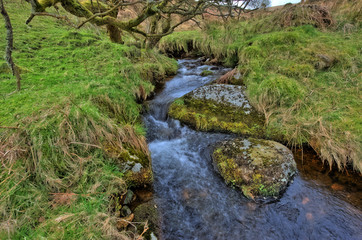 Kleiner Bach im Dartmoor Nationalpark