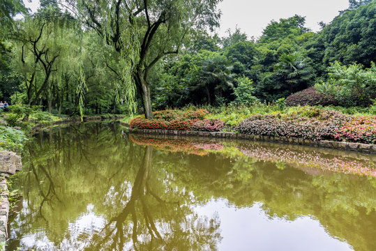 China Zoon