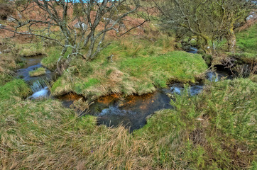 Kleiner Bach im Dartmoor Nationalpark