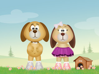 dog couple and kennel