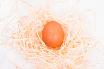 Chicken egg on some hay on a white background