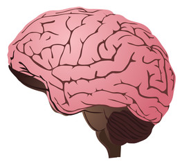 Brain vector illustration eps 10